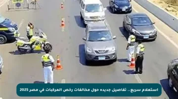 استعلام سريع.. تفاصيل جديدة حول مخالفات رخص المركبات في مصر 2025